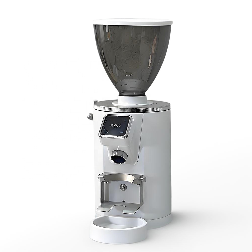 Macinacaffè Elettrico in Accia - French Press Coffee & Tea recensione e prezzo